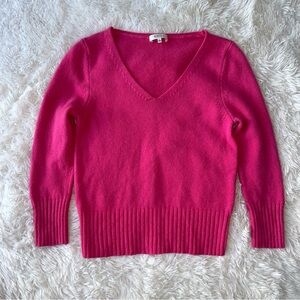 Aritzia Babaton Cashmere V-Neck Sweater
